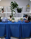 Gastronomia e Network